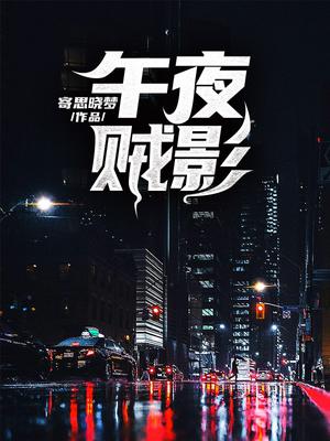 午夜贼影